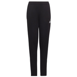 Spodnie adidas ENTRADA 22 Training Pant Y HC0337