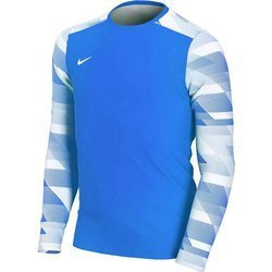 BLUZA BRAMKARSKA NIKE DRY PARK CJ6066-463