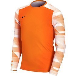 BLUZA BRAMKARSKA NIKE DRY PARK CJ6066-819